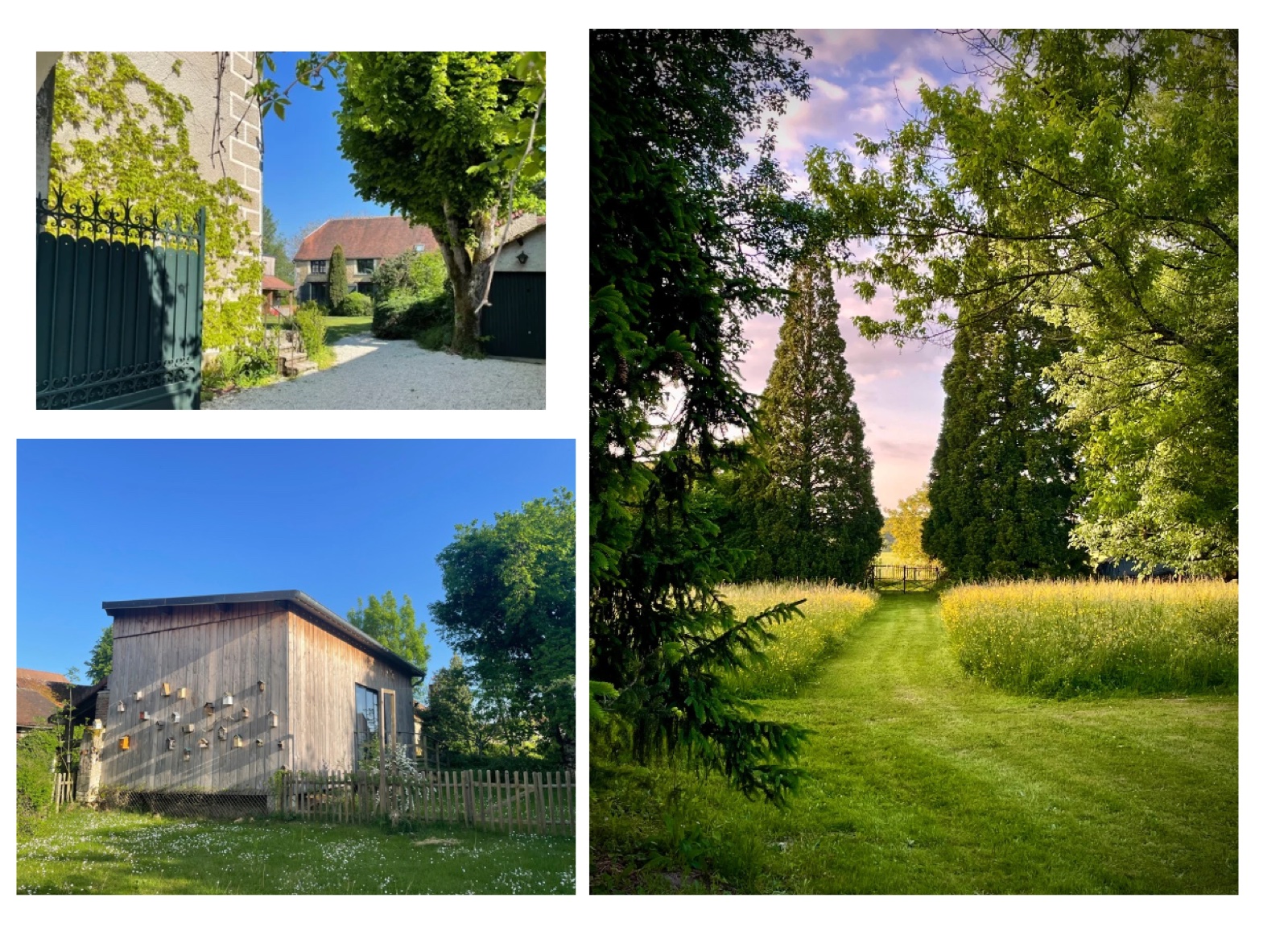 La cour avec son portail, l’atelier en bois et l’allée enherbée du parc